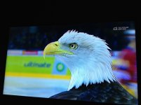 ImageUploadedBydigi-tv1322937998.390451.jpg