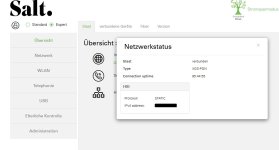Hauptseite Netzwerkstatus.jpg