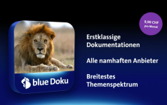 Bildschirmfoto 2020-09-22 um 10.31.44.png