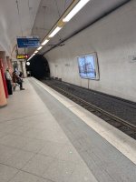 PXL_20250208_091338112.jpg