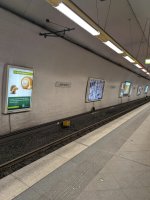 PXL_20250208_091333515.jpg